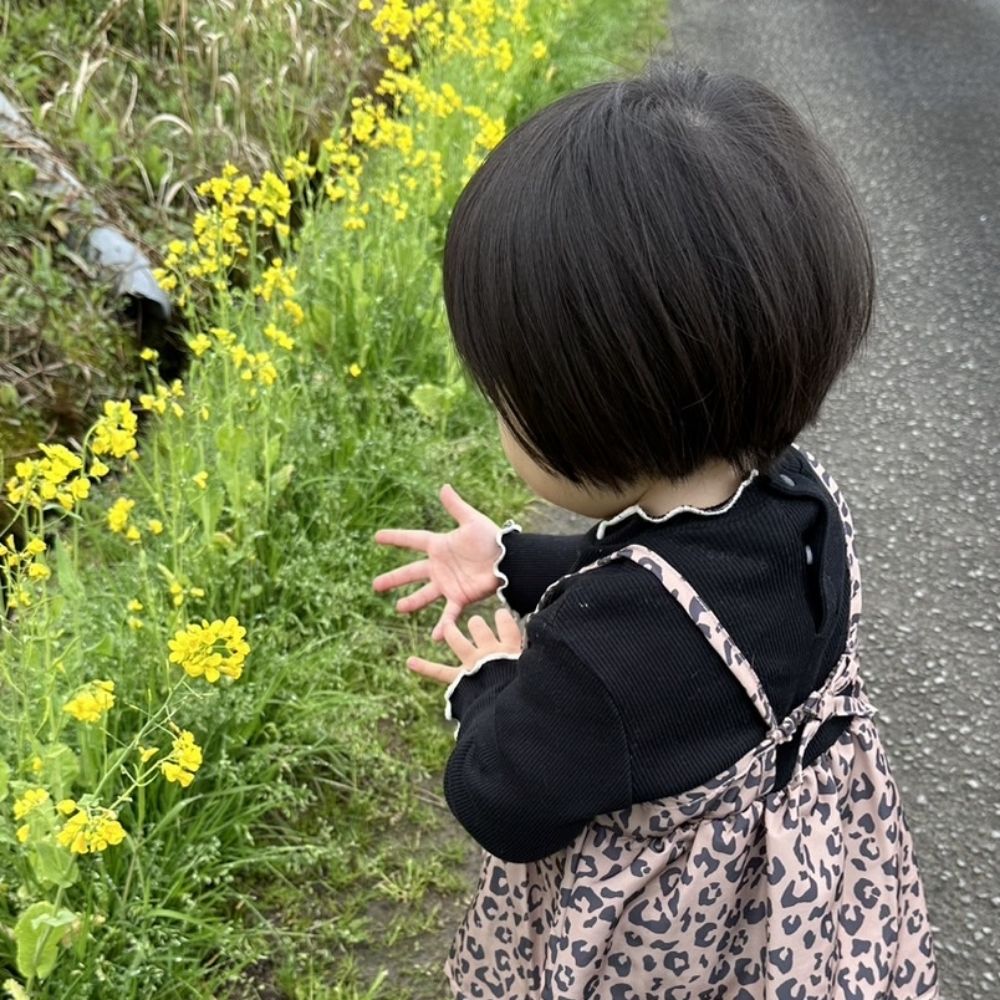 maayuyuu.bsky.social