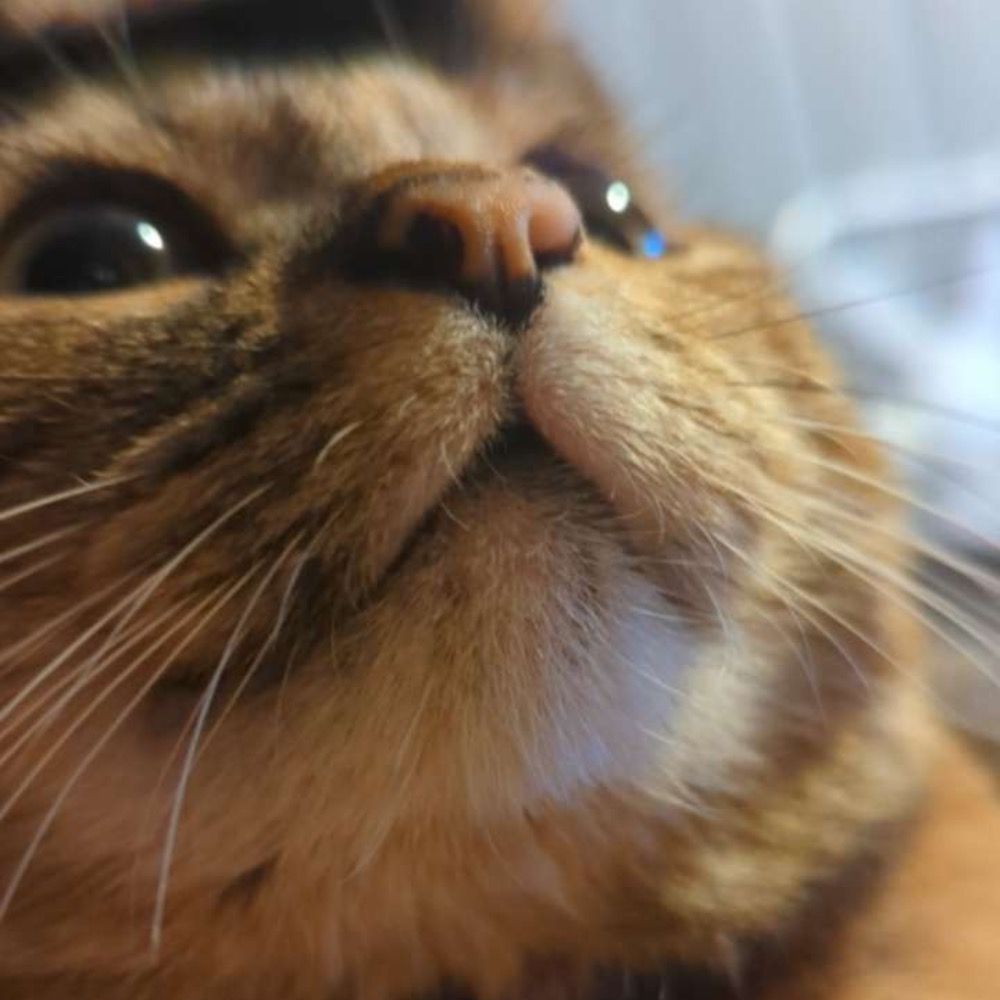 Min