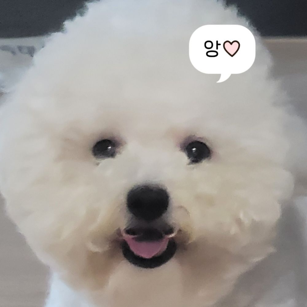 누다르 반 다르누스