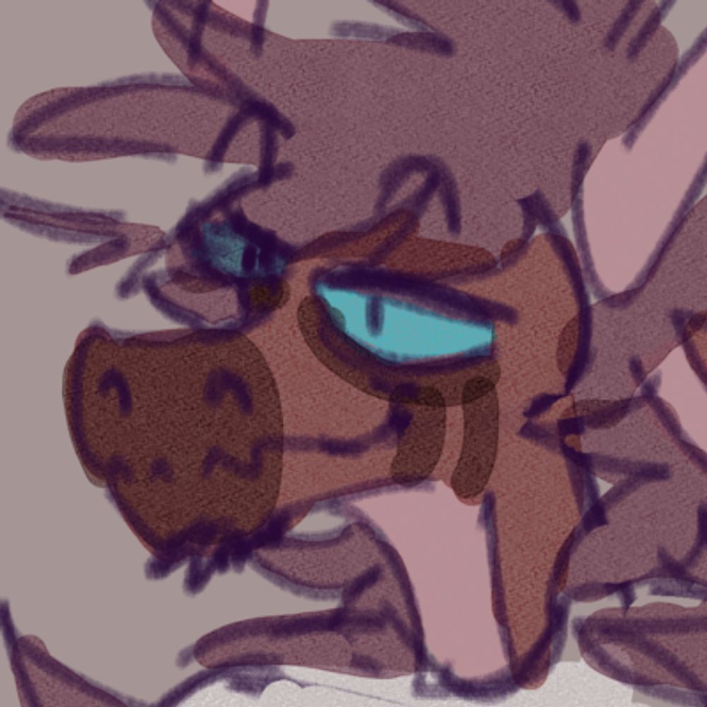 Rain :drgn_think_owo:​
