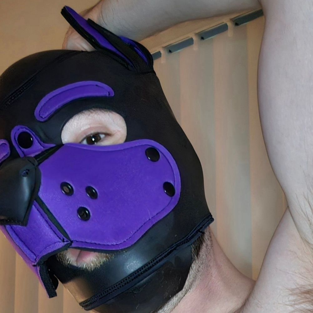 Pup Dirge
