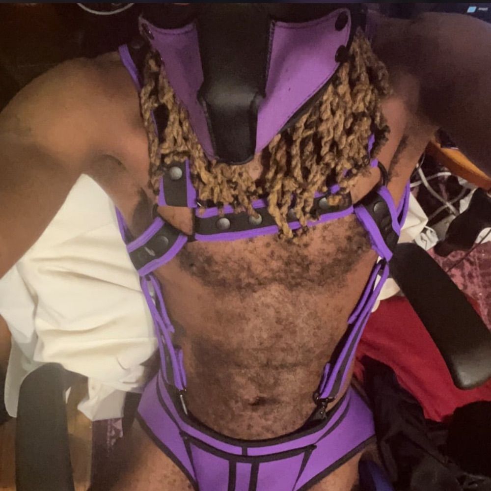 Purple pup Prince