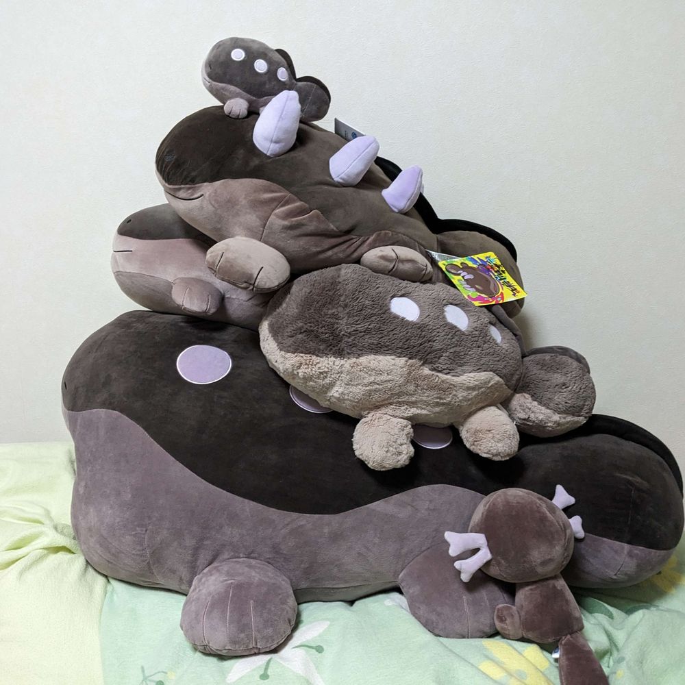 わたぬき