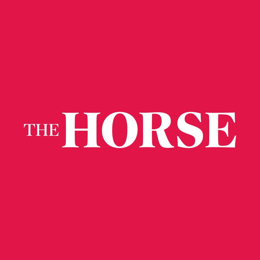 The Horse