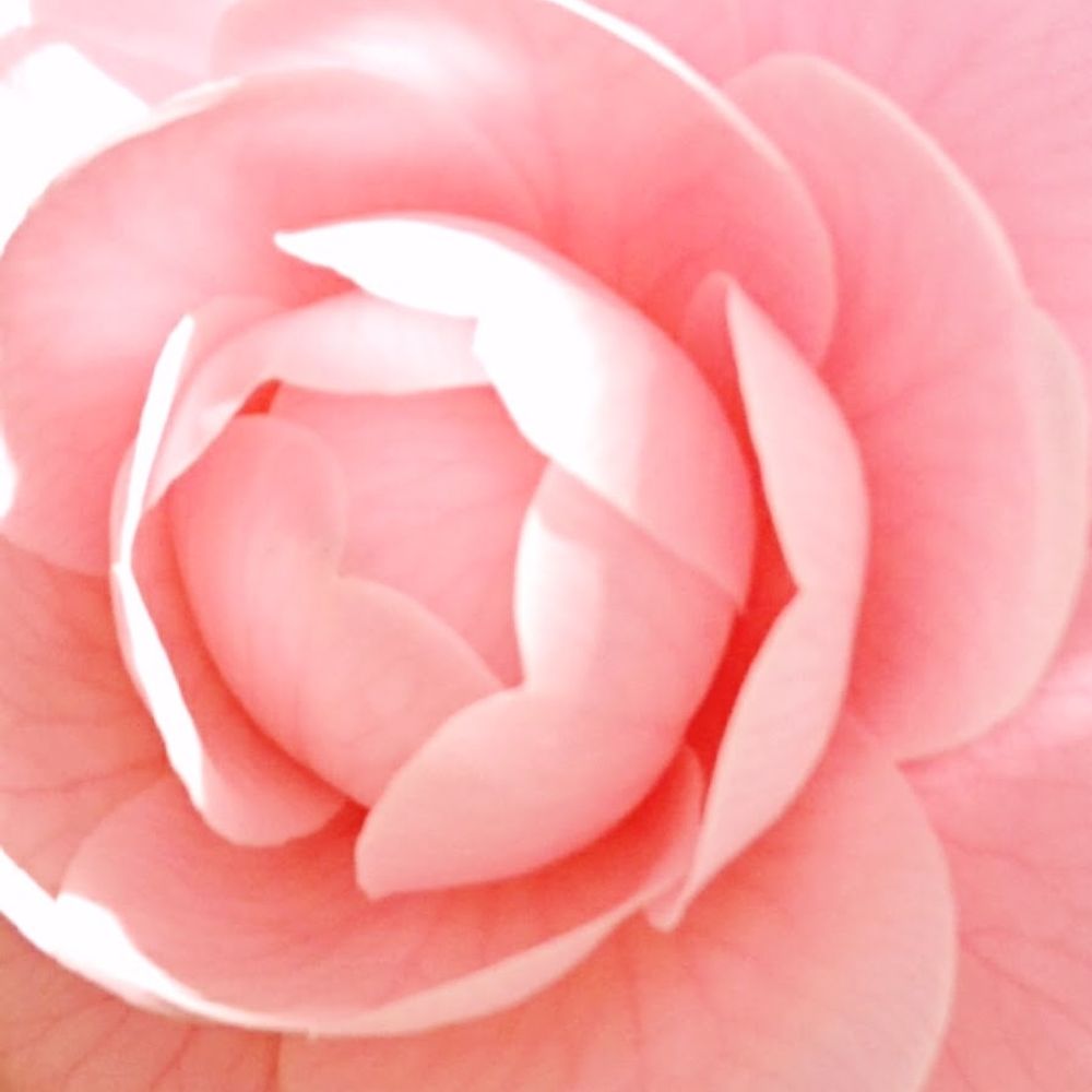 明本🌸あきら