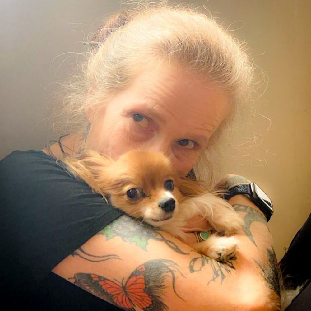Anne J Gibson