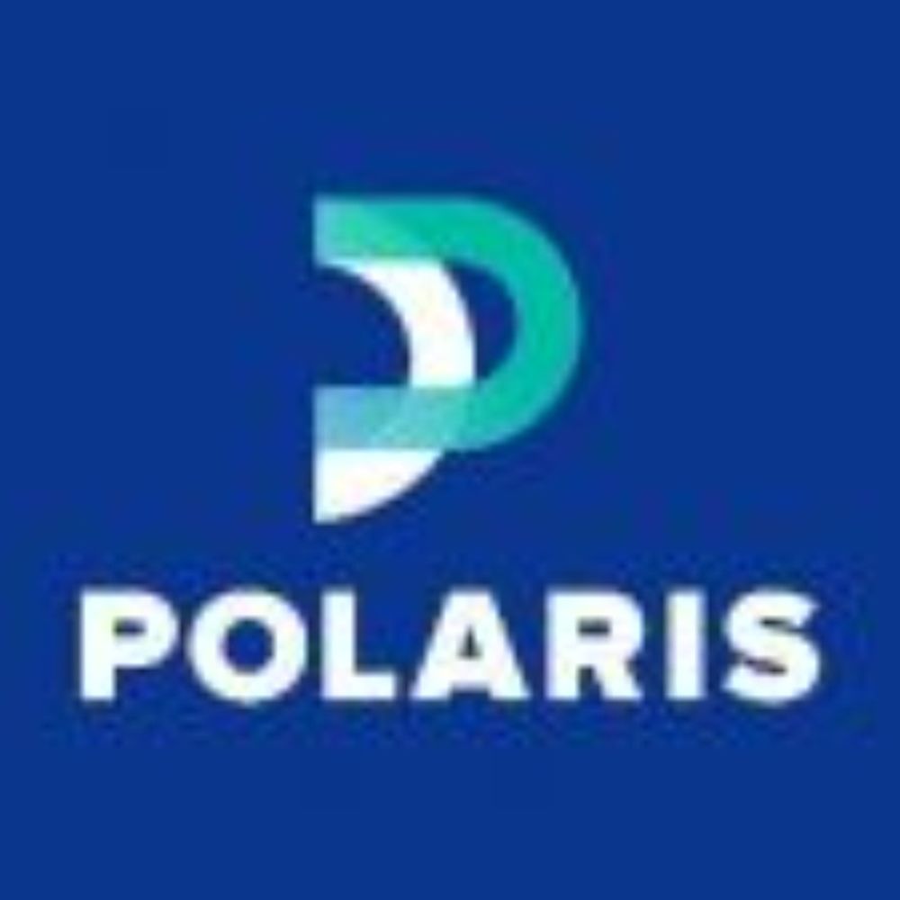 Polarisgrids