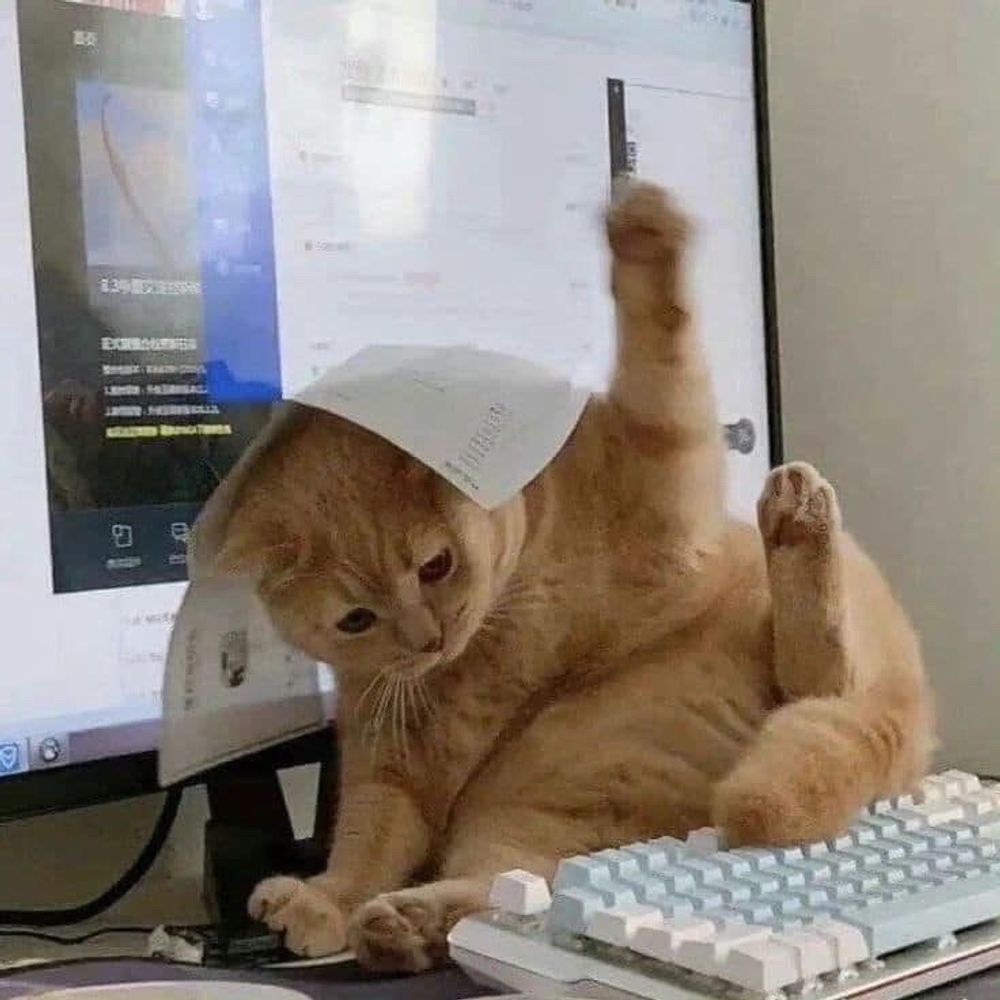 🫶🏻