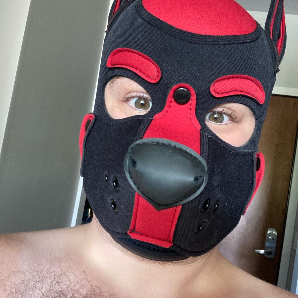 Pup Frazier