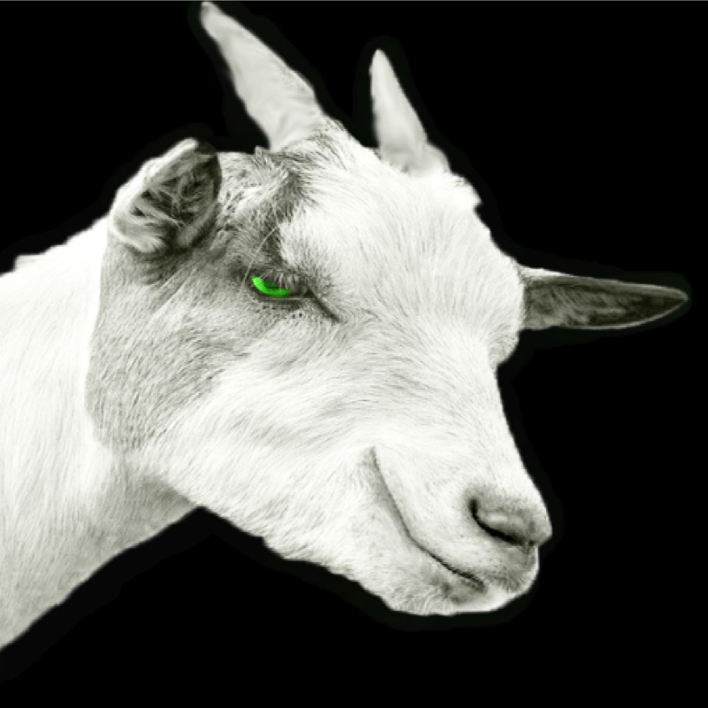 Smug_Goat