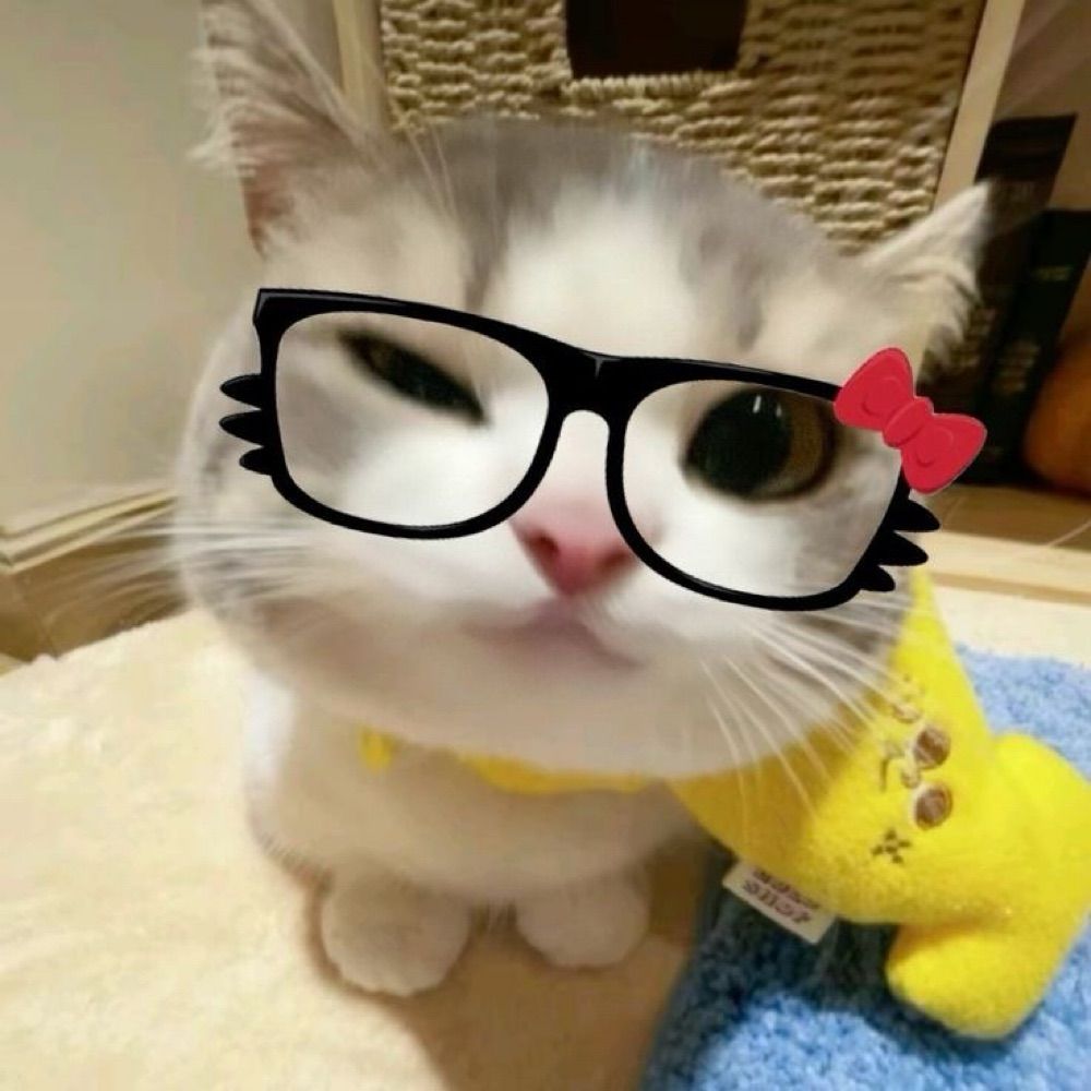 𝑦𝑎𝑠