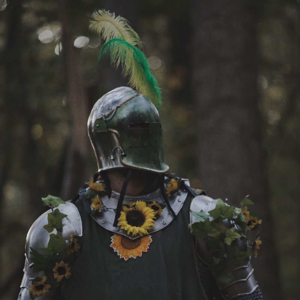 Ser Solas