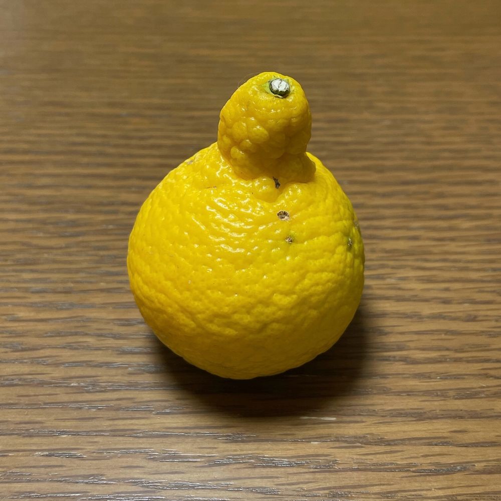 ぷれこ