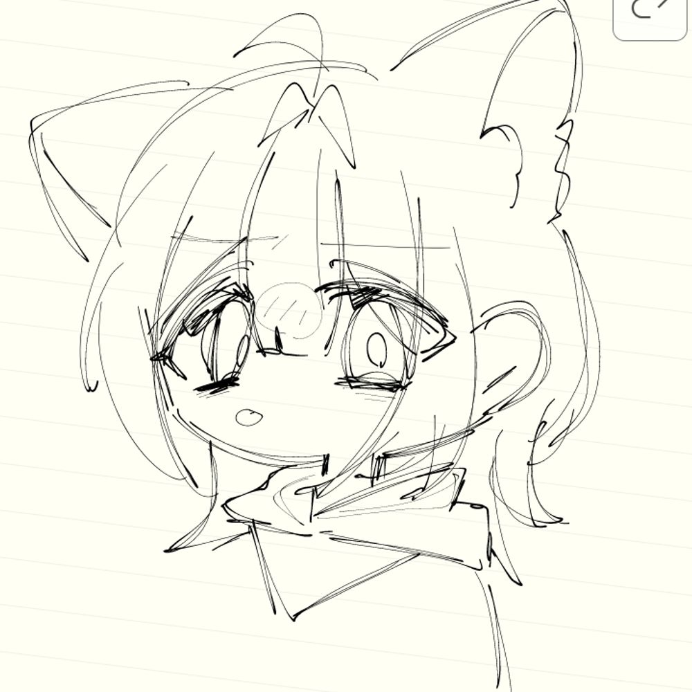 くつした