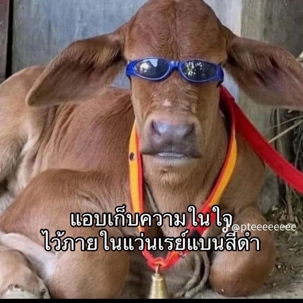 Nice2meetu