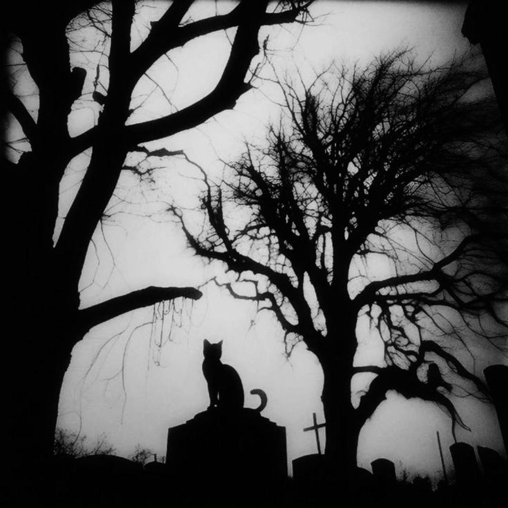 darkness