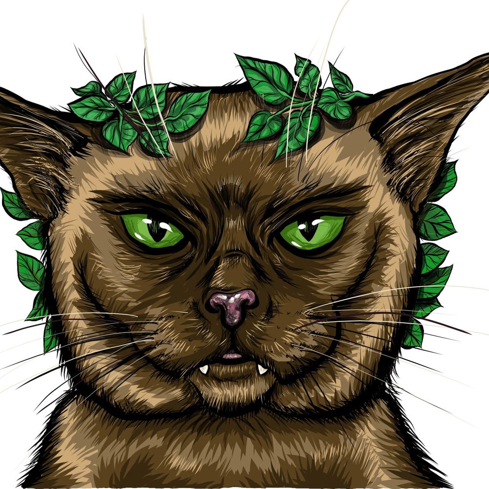 The Emperor's Cat