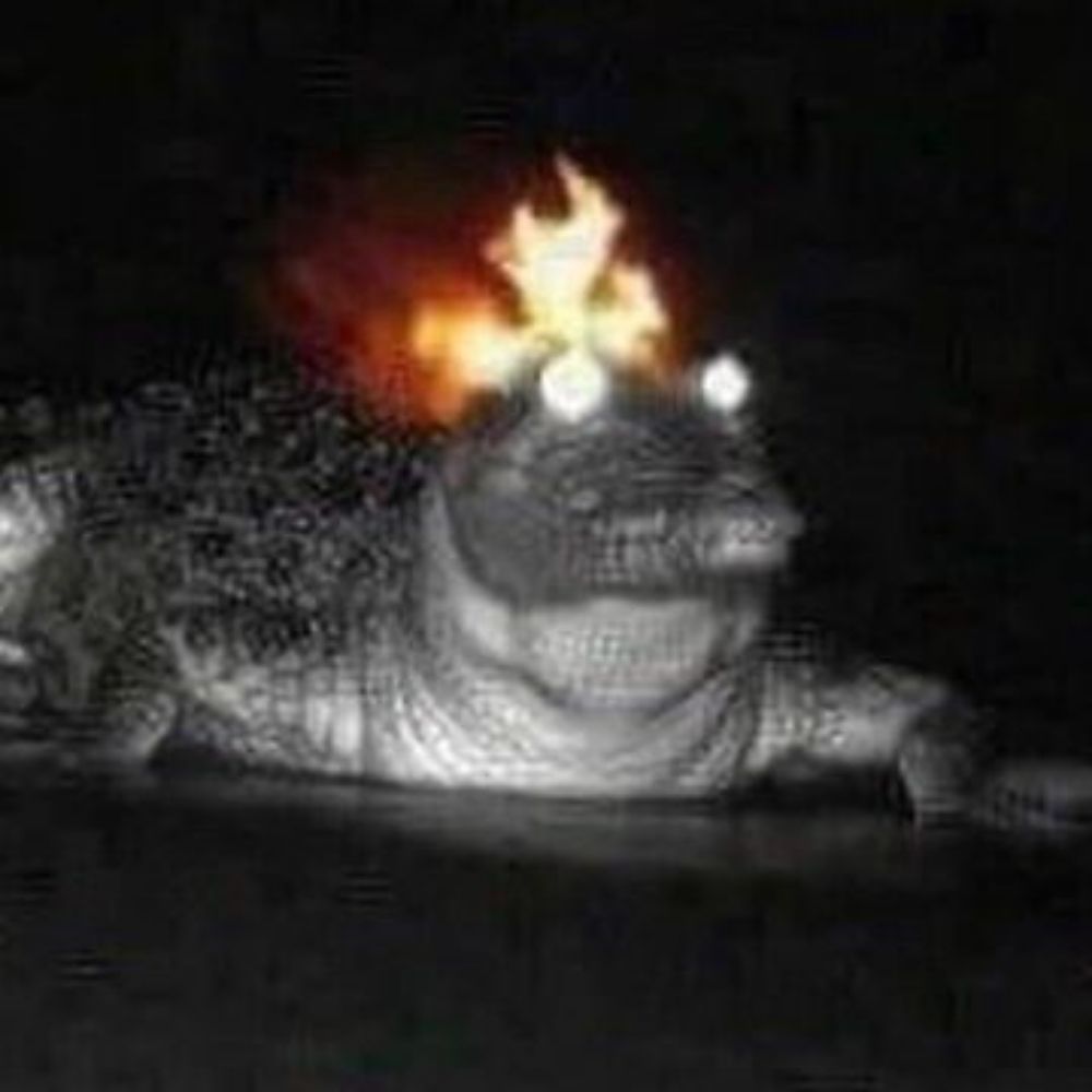 foolforthefire
