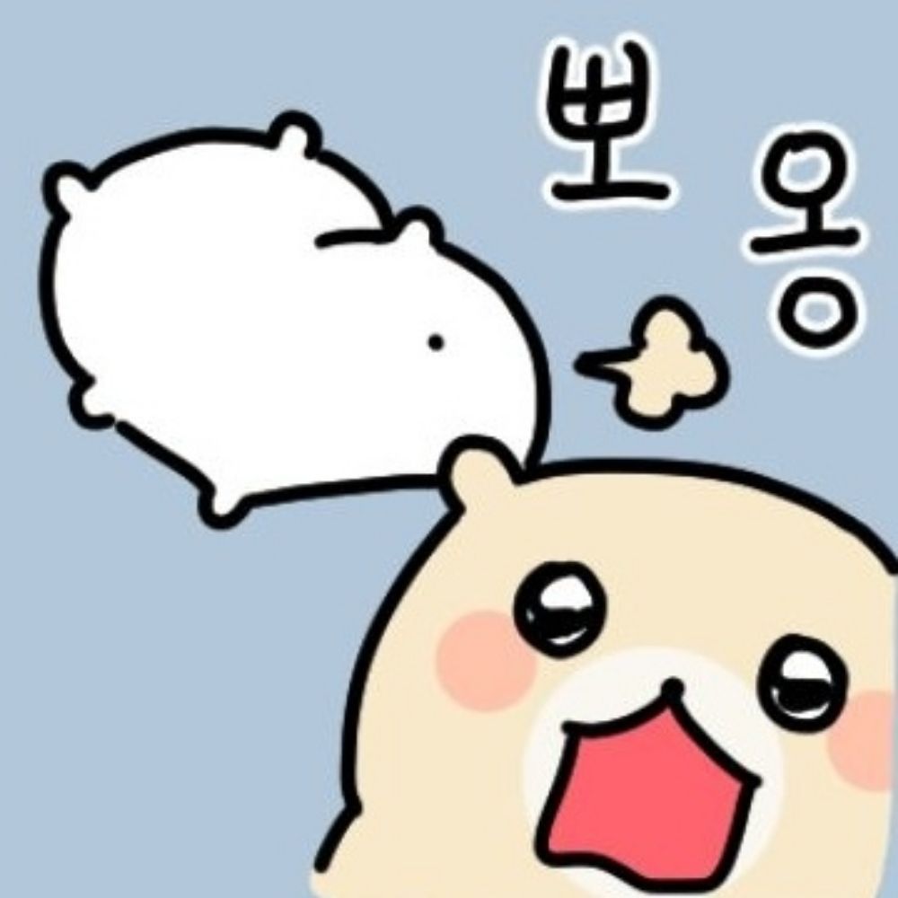 다시다디포리