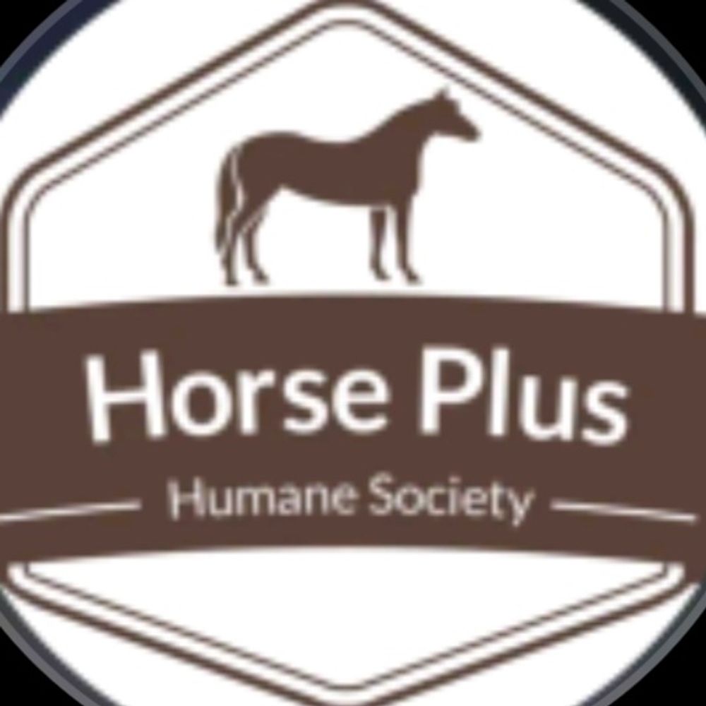 HORSE PLUS HUMANE SOCIETY