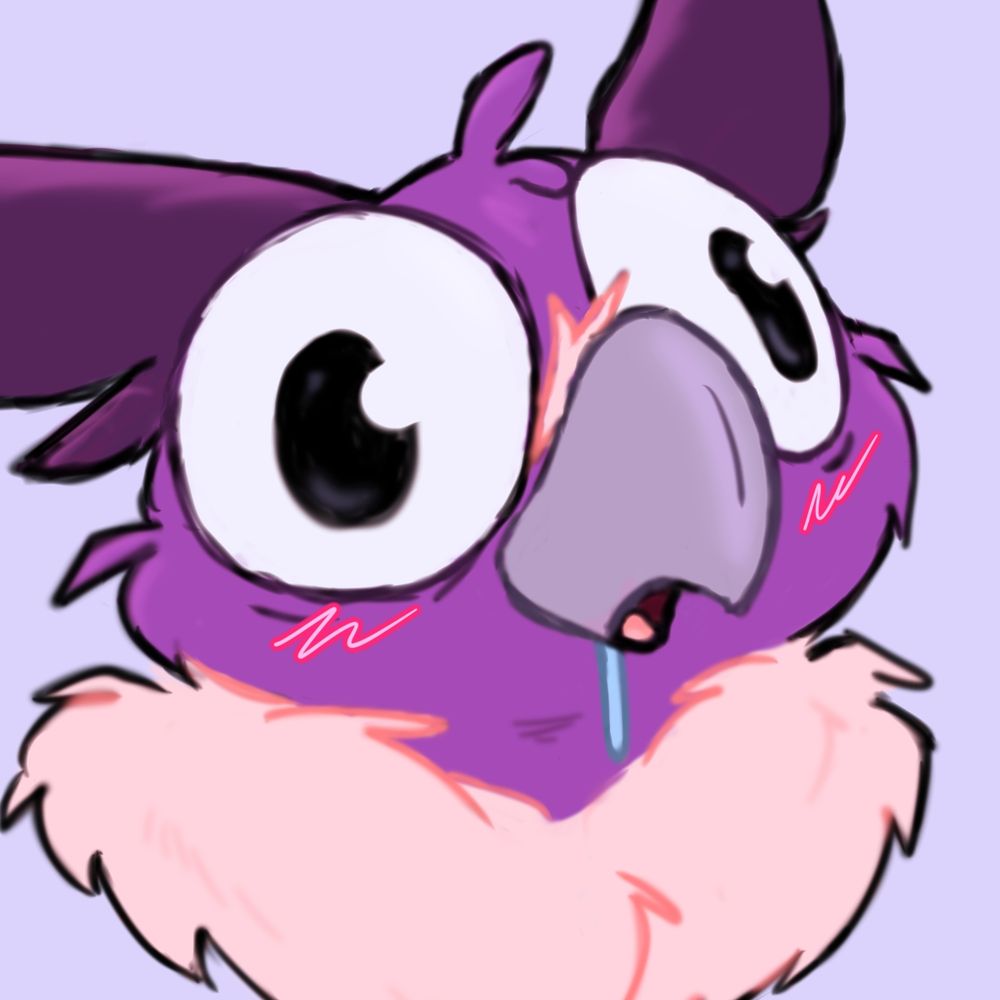 owlgaucho