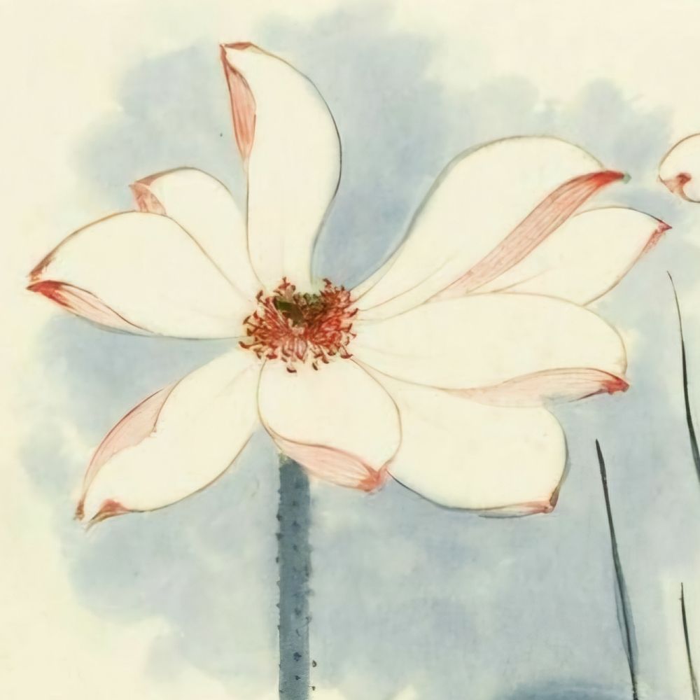 nagi