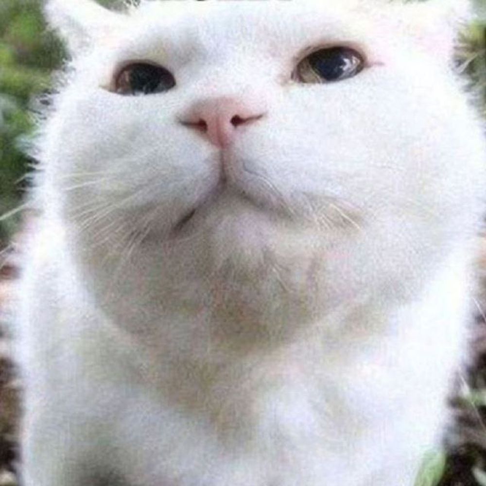 :3