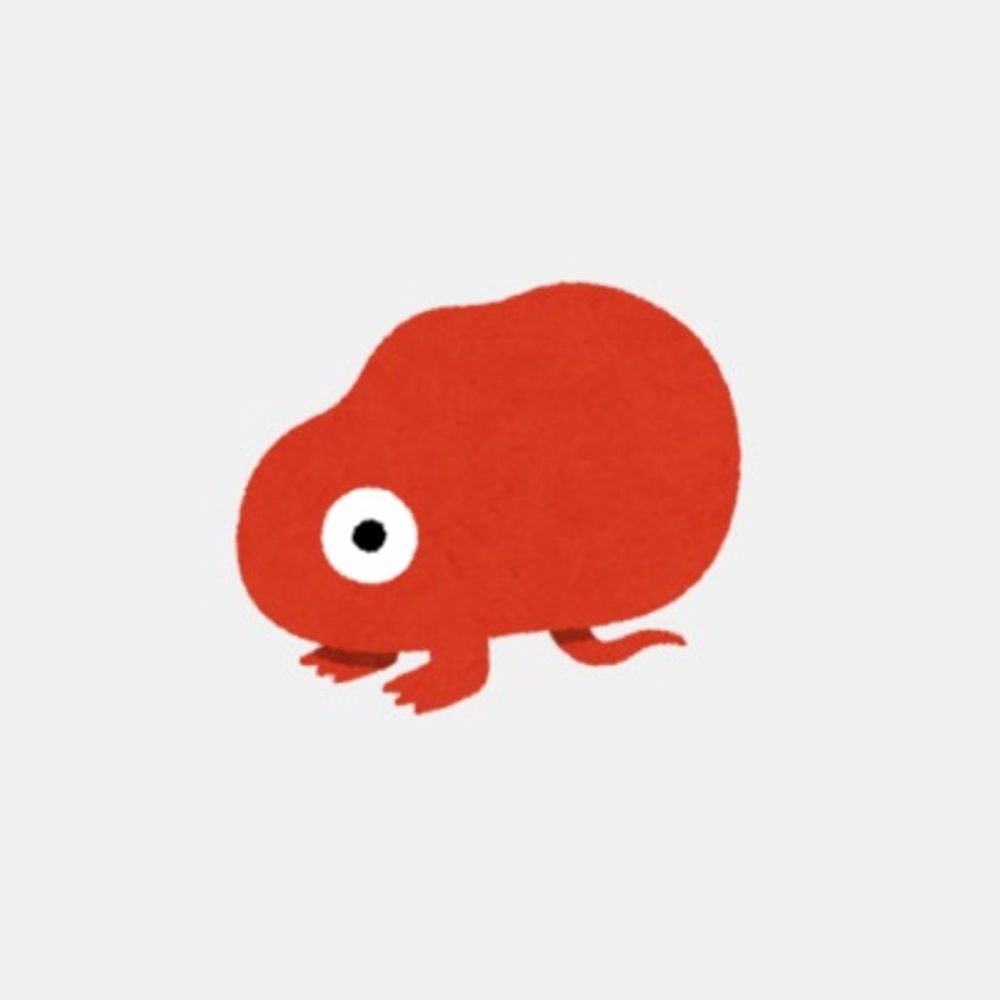 ナツノ