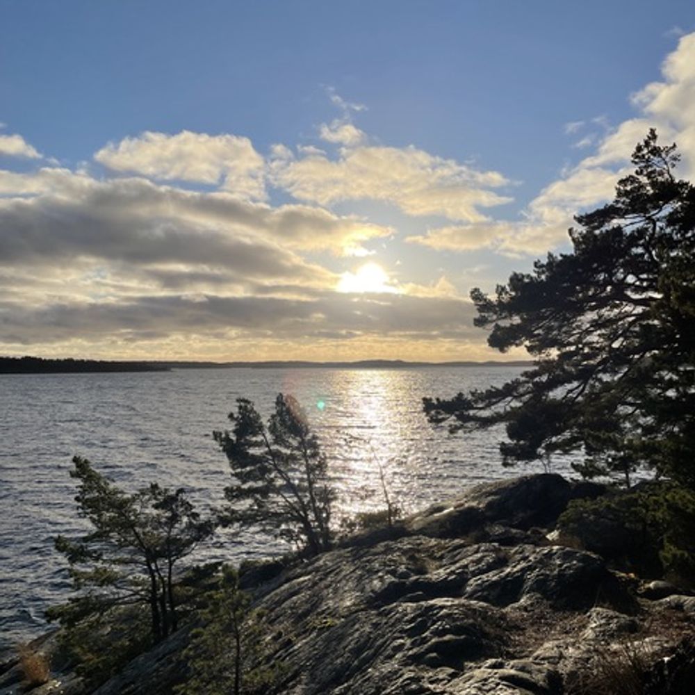 H. Mattsson 