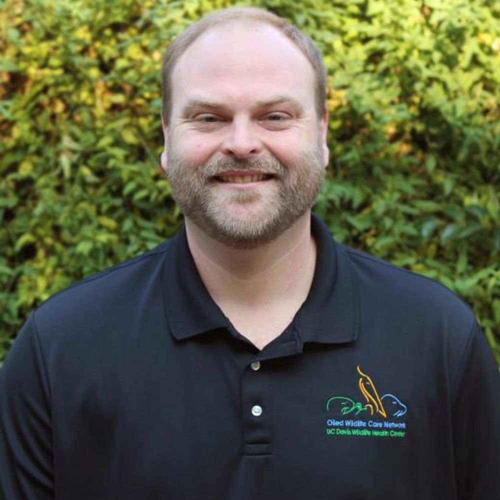 Scott Buhl