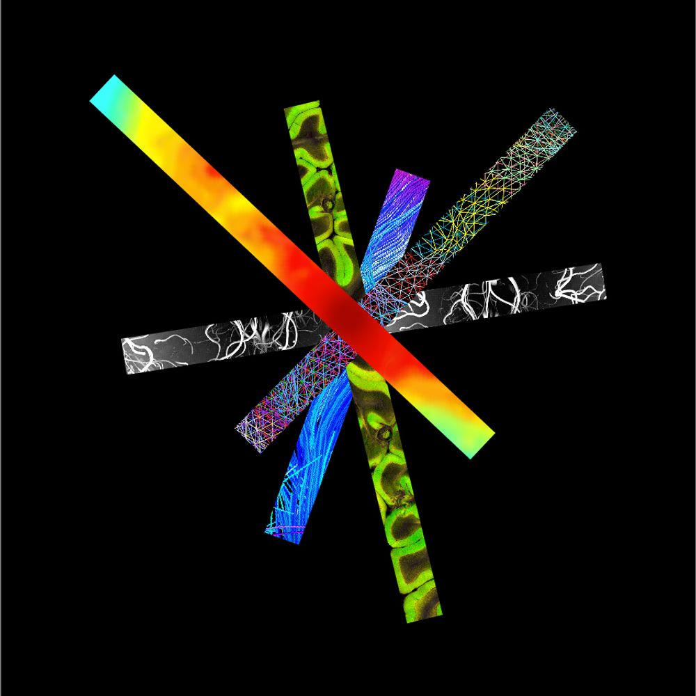 The Martinos Center for Biomedical Imaging