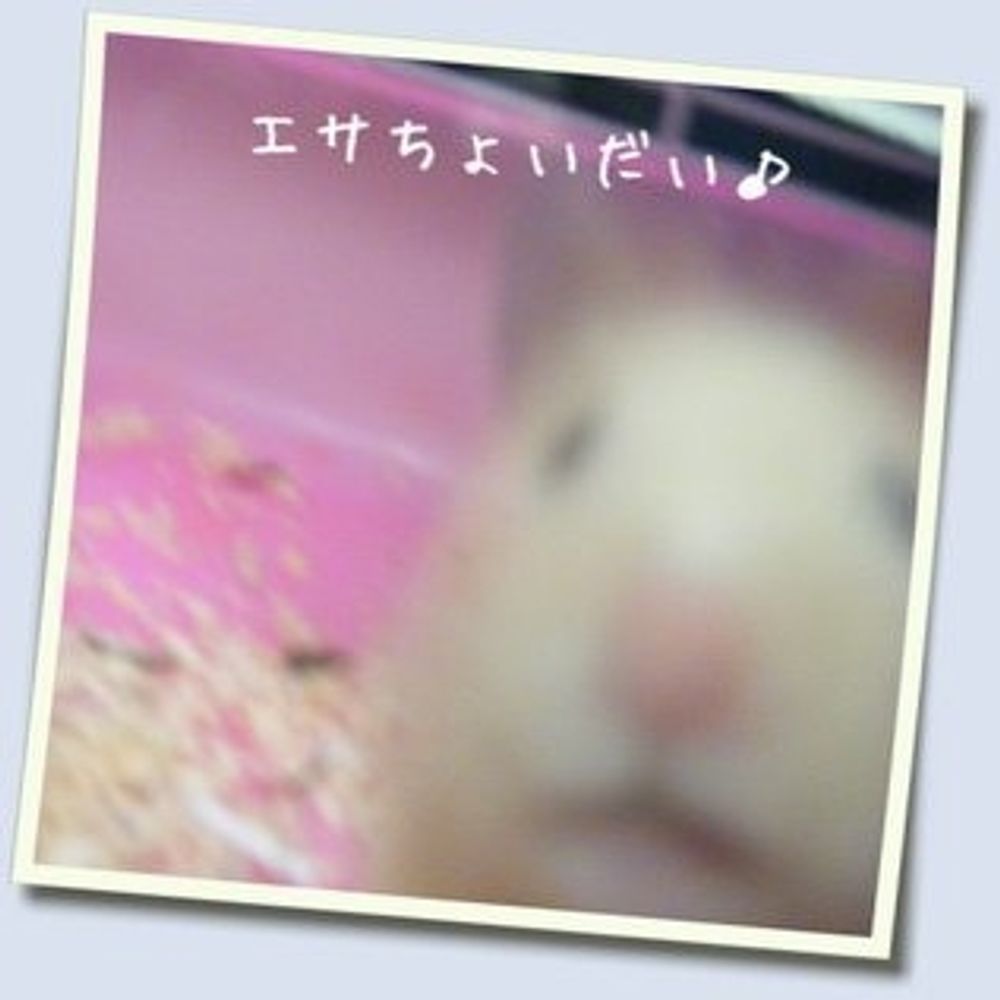 あずきパンダ
