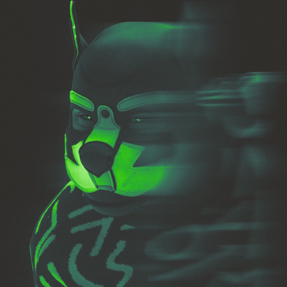 Pup Loki Kettu
