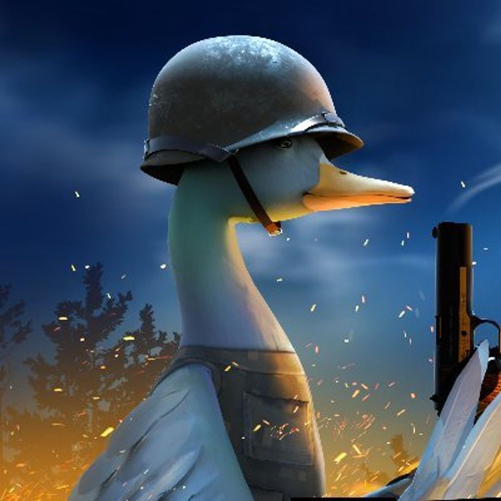 DUCKSIDE