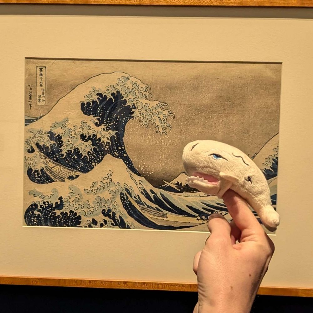 Moby Dick Pics