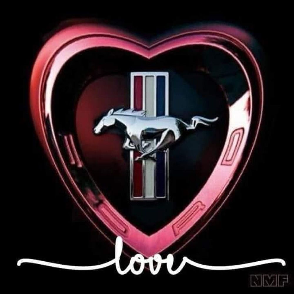 texasstarr