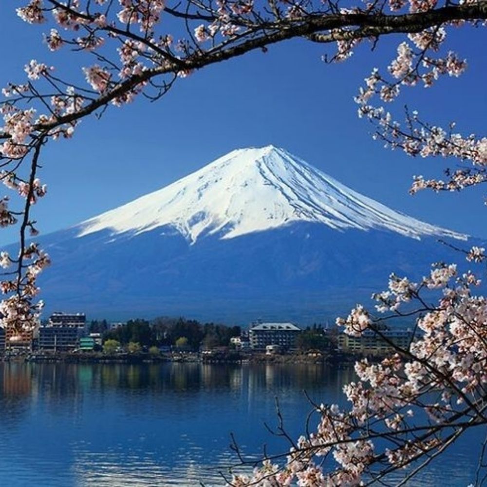 monte_FUJI