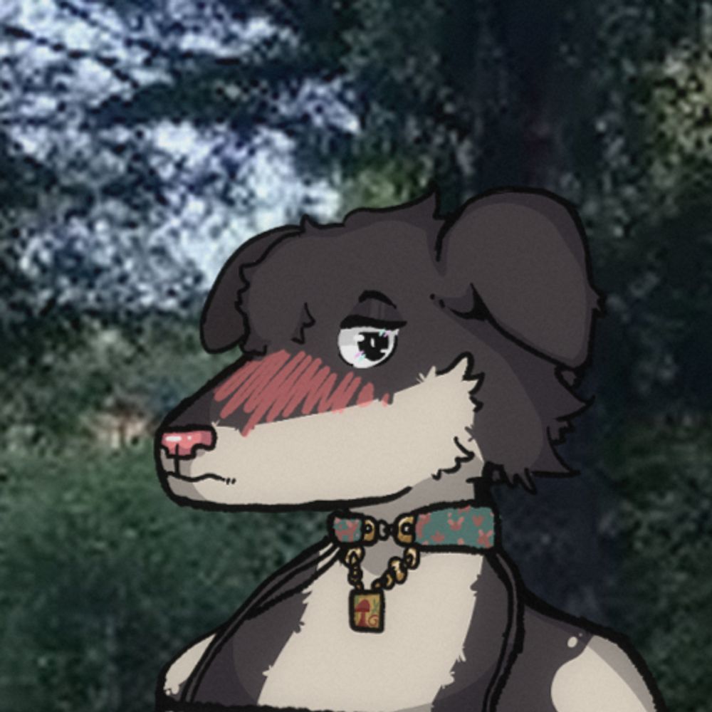 wolfgoesawoo.bsky.social profile picture