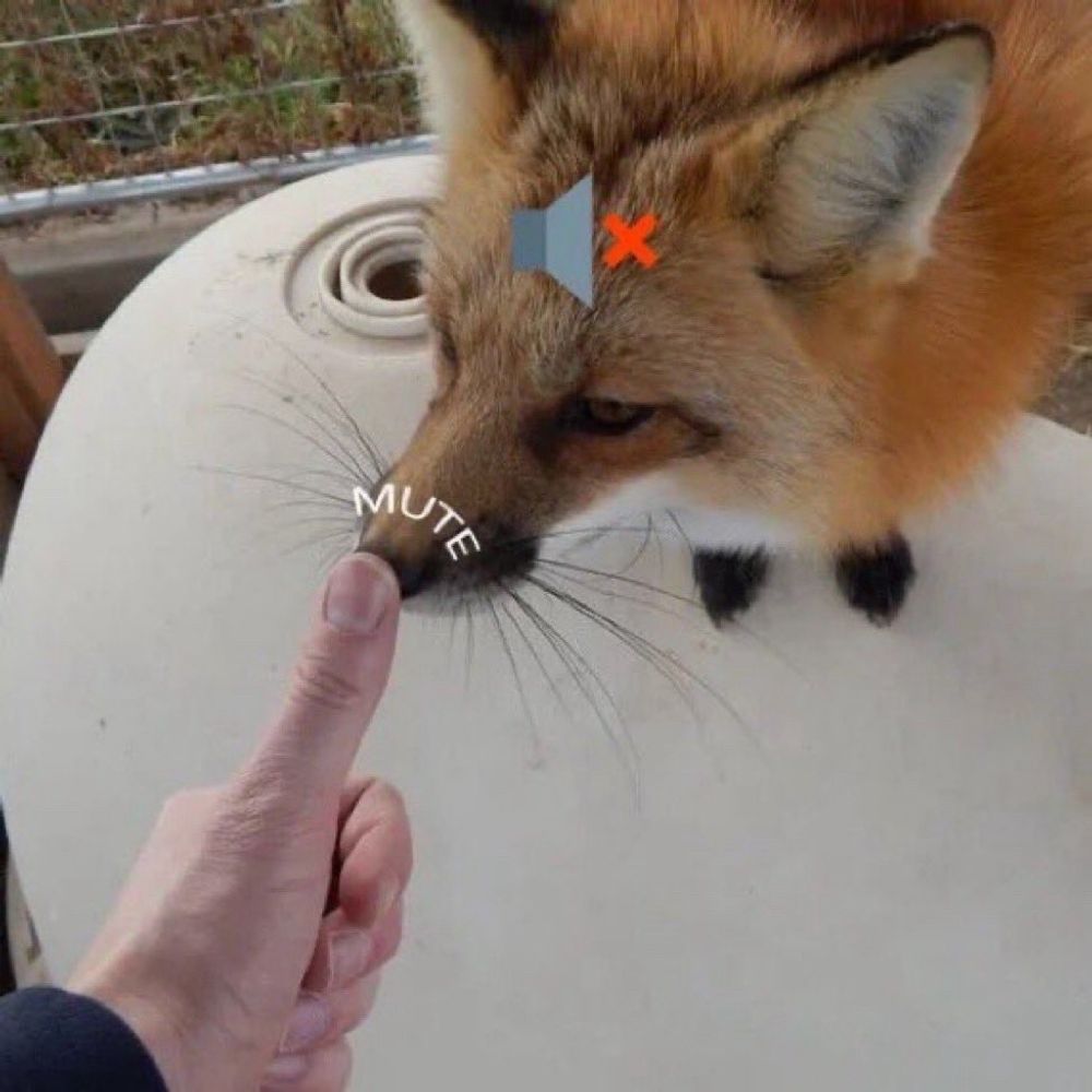 𝕹𝖎𝖌𝖍𝖙𝖘𝖍𝖆𝖉𝖊 Ｋ𝐢𝓽丂ＵŇ𝐞