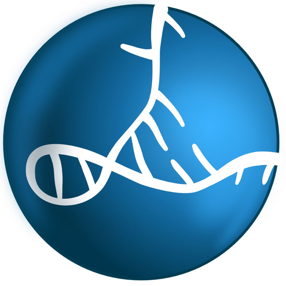 CRC 392 - Molecular Evolution in Prebiotic Environments
