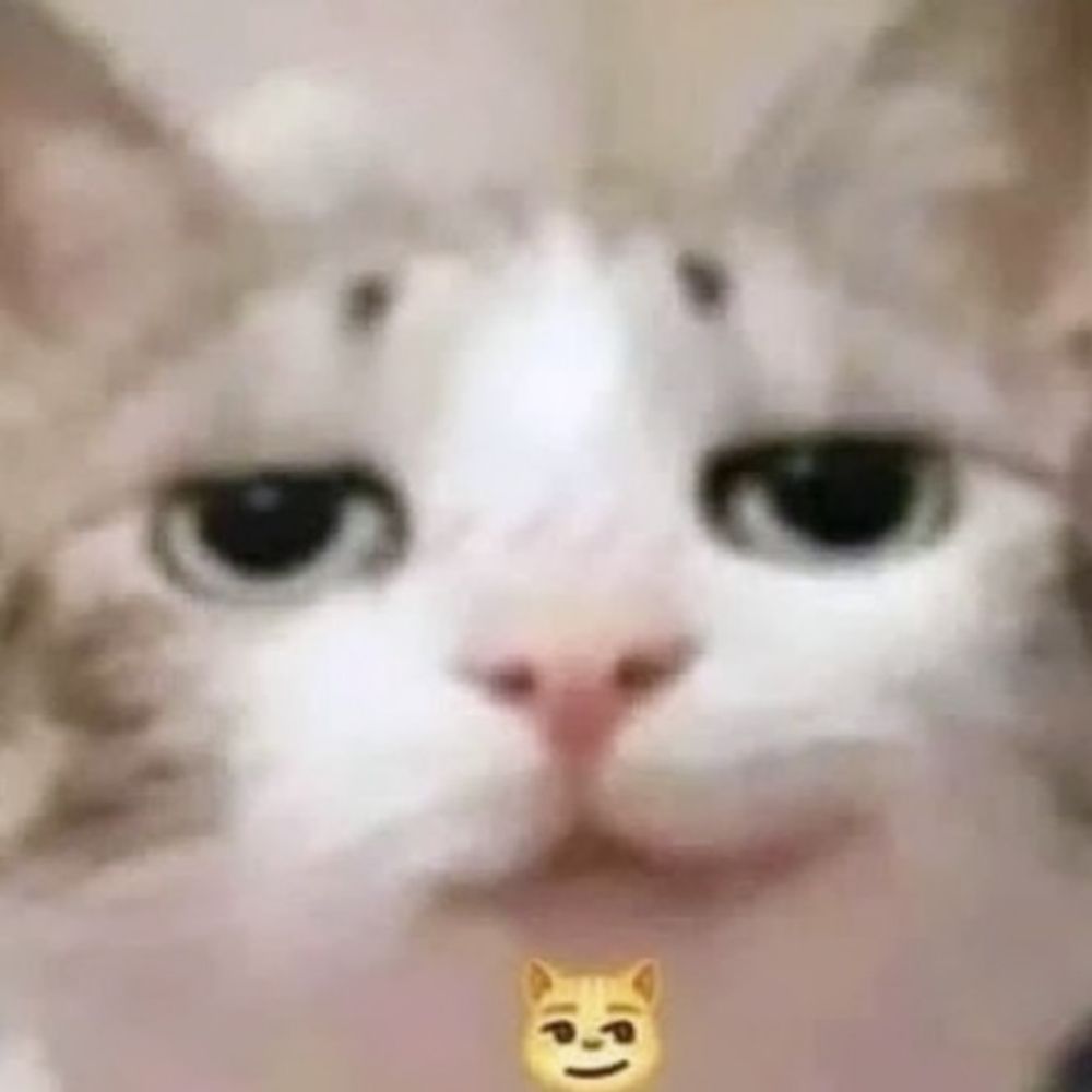 𝓐𝓶𝓸𝓒𝓪𝓯𝓮𝓻  🏳️‍🌈 