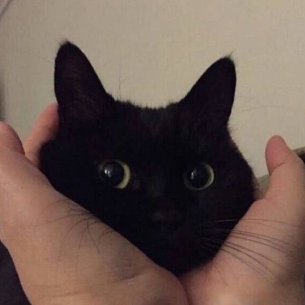猪肉丸真好吃