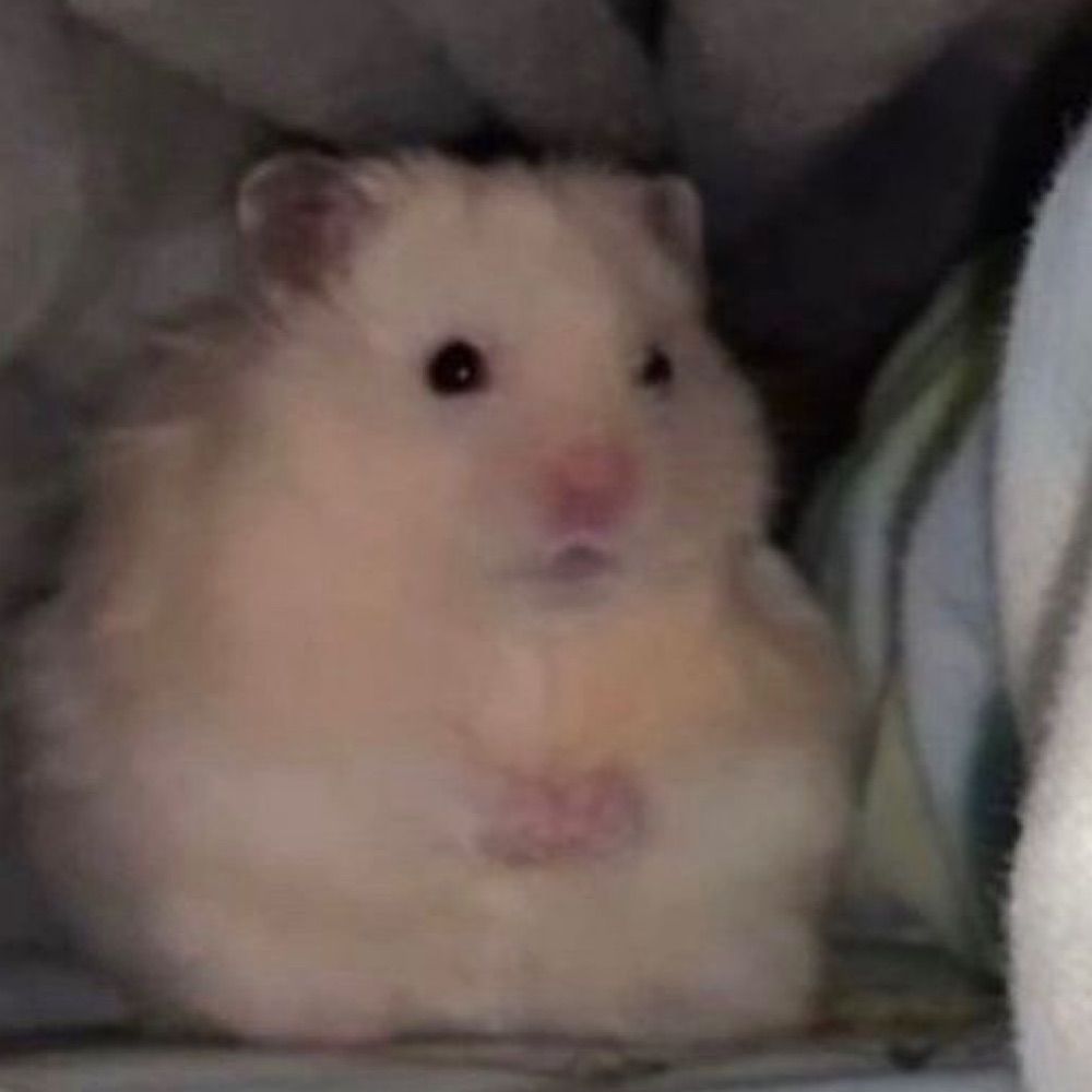 히히