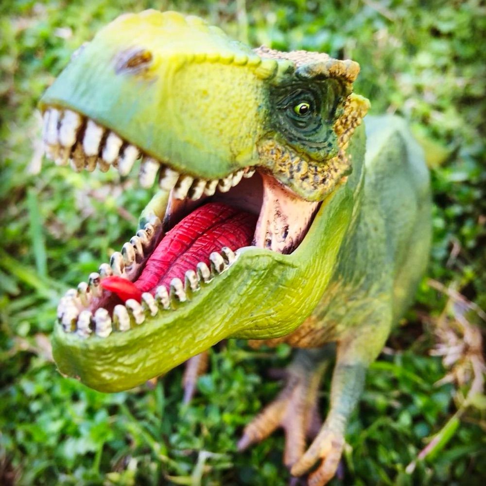 Jerry The T-Rex
