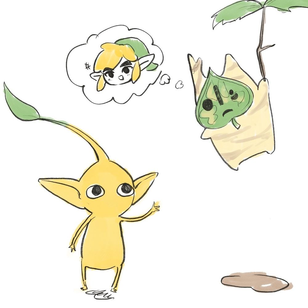 노아