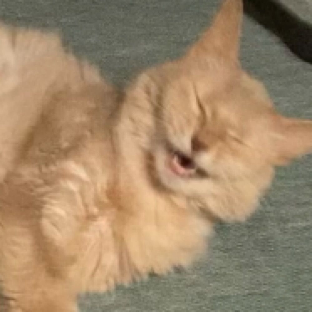 ビビビ