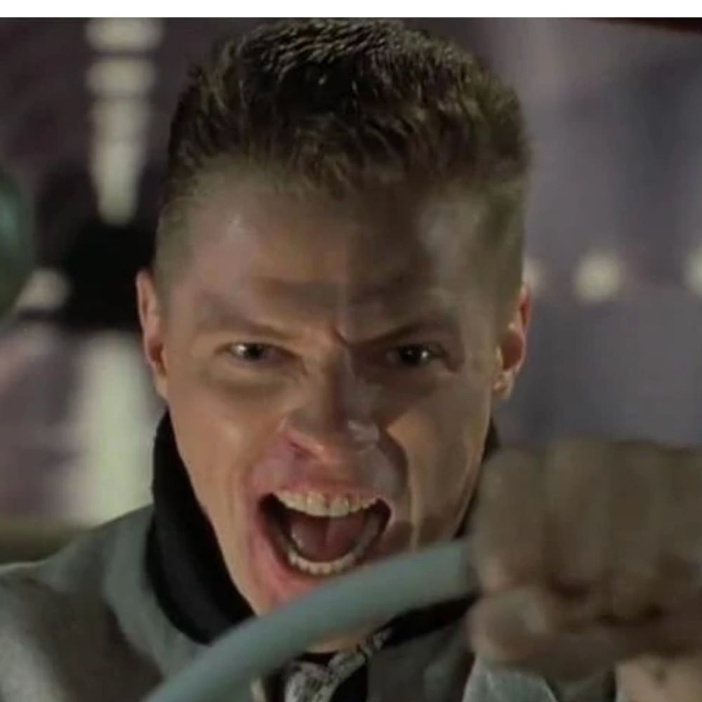 Biff Tannen 