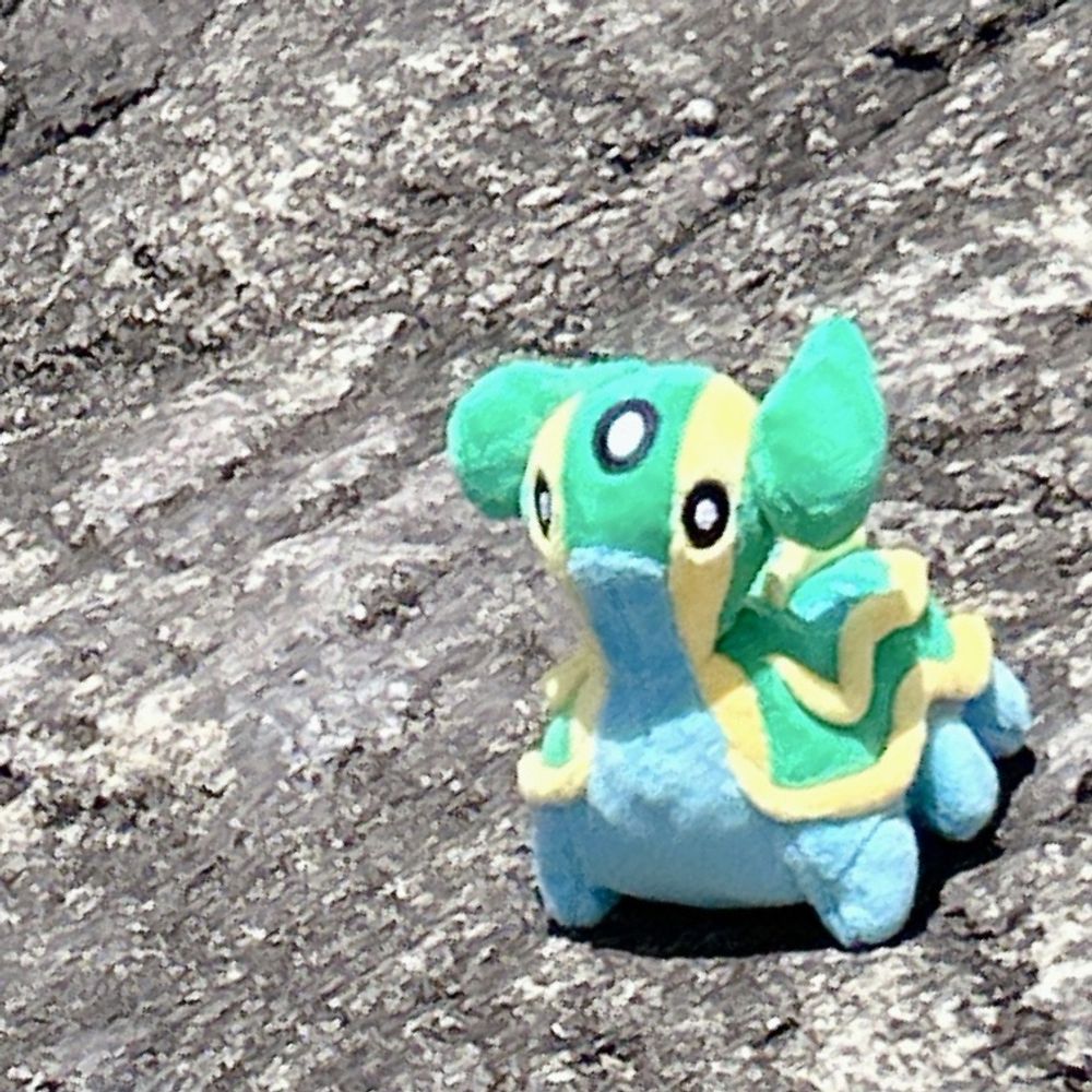 ﾄﾞﾝﾁｬﾝ