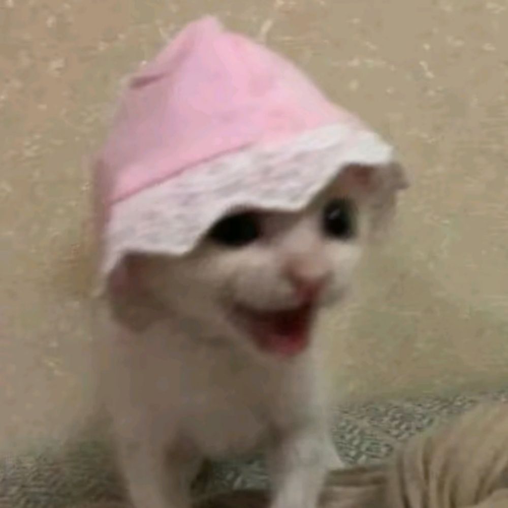 Meowbou