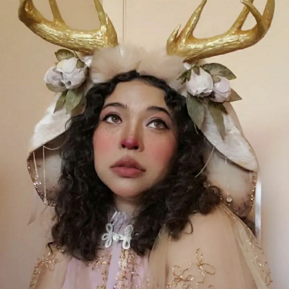 The Bunnyfolk Cosplayer